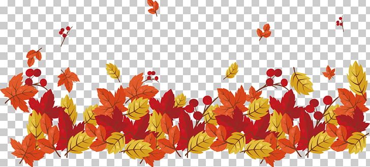 Red Maple Maple Leaf PNG, Clipart, Computer Icons, Deciduous, Decorative Patterns, Fallen Leaves, Floral Design Free PNG Download