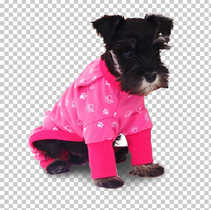 T-shirt Tracksuit Dog Pajamas Clothing PNG, Clipart, Cap, Carnivoran, Clothing, Companion Dog, Costume Free PNG Download