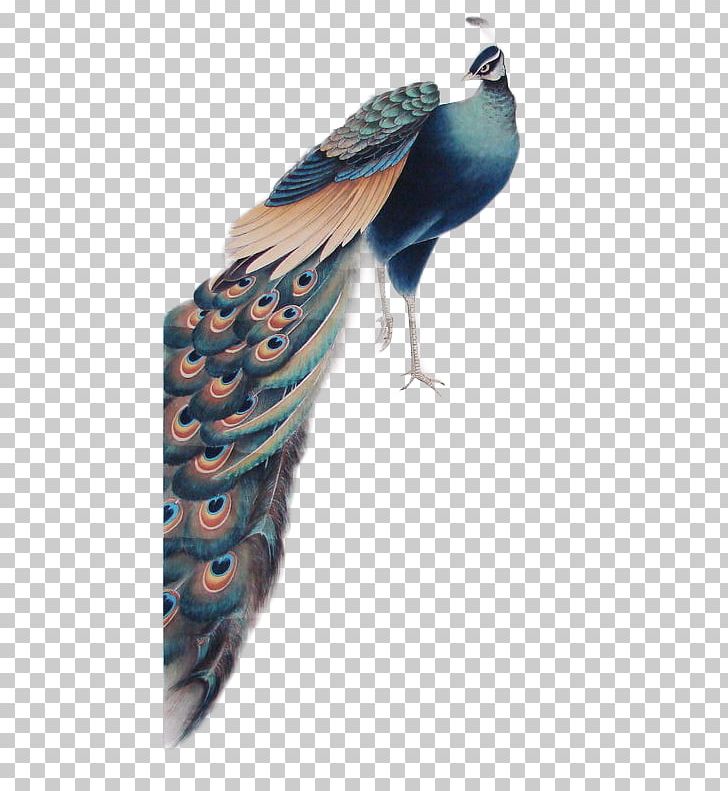 U5de5u7b14u82b1u9e1fu753b Gongbi Bird-and-flower Painting PNG, Clipart, Animals, Art, Beak, Bird, Chinese Painting Free PNG Download