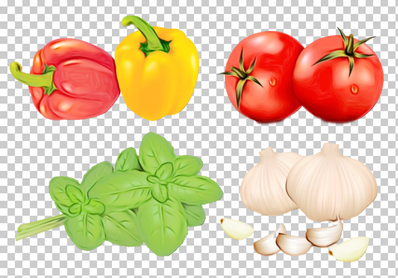 Tomato PNG, Clipart, Basil, Food, Fruit, Natural Foods, Paint Free PNG Download