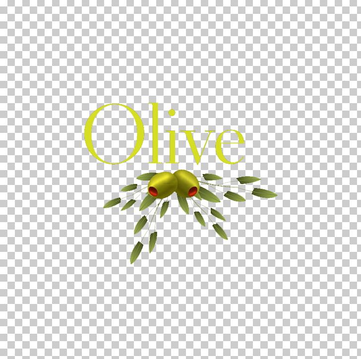 Olive Oil Olive Leaf PNG, Clipart, Area, Brand, Circle, Download, Encapsulated Postscript Free PNG Download