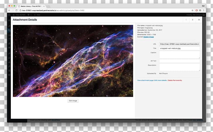 Veil Nebula Hubble Space Telescope Supernova Remnant SN 1987A PNG, Clipart, Amateur Astronomy, Astronomer, Astronomy, Butler, Doug Free PNG Download