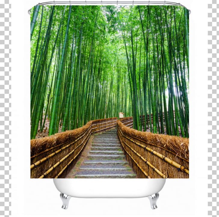 Arashiyama Iwatayama Monkey Park Bamboo Forest Stock Photography PNG, Clipart, Arashiyama, Bamboo, Bamboo Forest, Curtain, Desktop Wallpaper Free PNG Download