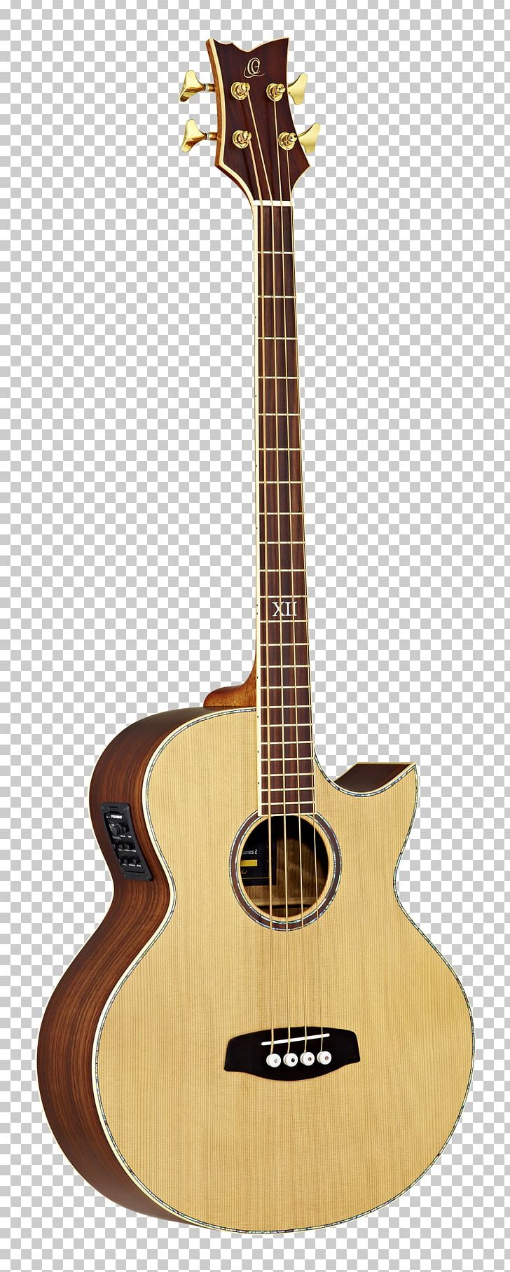 Musical Instruments Acoustic Guitar Ukulele Bass Guitar PNG, Clipart, Amancio Ortega, Cuatro, Cutaway, Guitar Accessory, Music Free PNG Download