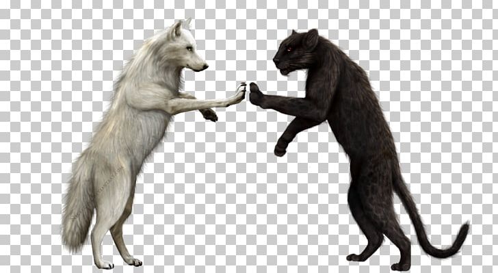 Wolfdog Leopard Canidae Arctic Wolf PNG, Clipart, Animal, Animals, Arctic Wolf, Canidae, Carnivoran Free PNG Download