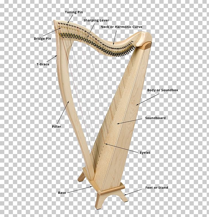 Pedal Harp String Instruments Musical Instruments PNG, Clipart, Acoustic Guitar, Aeolian Harp, Celtic Harp, Clarsach, Harp Free PNG Download