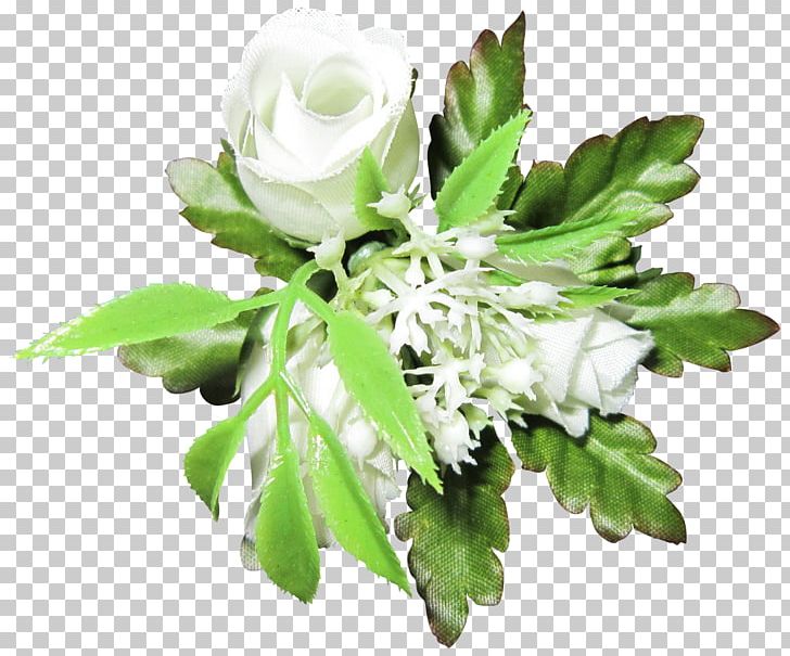 Beach Rose PNG, Clipart, Background White, Black White, Encapsulated Postscript, Flower, Flower Arranging Free PNG Download