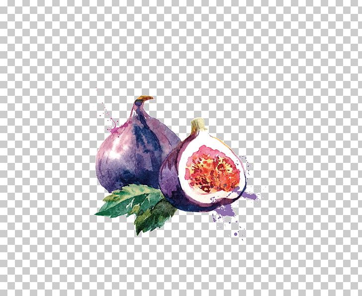 Common Fig Euclidean PNG, Clipart, Drawing, Food, Fruit, Fruit Nut, Painting Free PNG Download