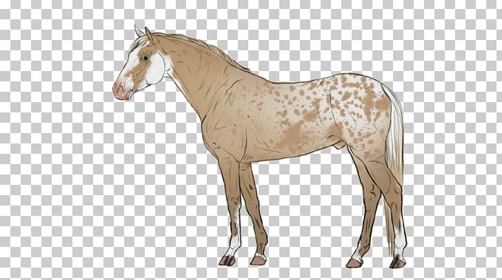 Mane Stallion Mustang Appaloosa Foal PNG, Clipart, Animal Figure, Appaloosa, Bridle, Color, Colt Free PNG Download