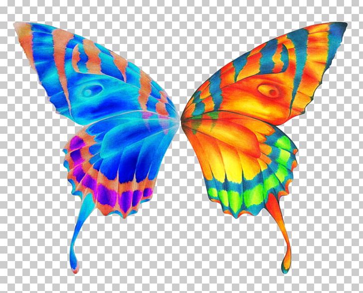 Butterfly Wing PNG, Clipart, Butterflies And Moths, Butterfly, Clip Art, Document, Drawing Free PNG Download