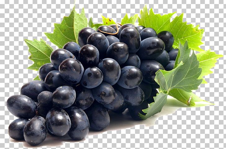 Common Grape Vine PNG, Clipart, Bilberry, Blueberry, Computer Icons, Currant, Desktop Wallpaper Free PNG Download