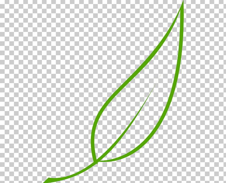 Leaf Free Content PNG, Clipart, Angle, Apple Leaf Template, Area, Circle, Download Free PNG Download