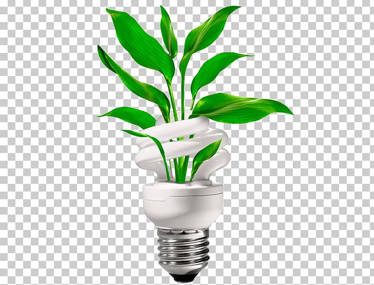 Energy Conservation Electricity PNG, Clipart, Bulb, Efficient Energy Use, Electrical Energy, Electricity, Energy Free PNG Download