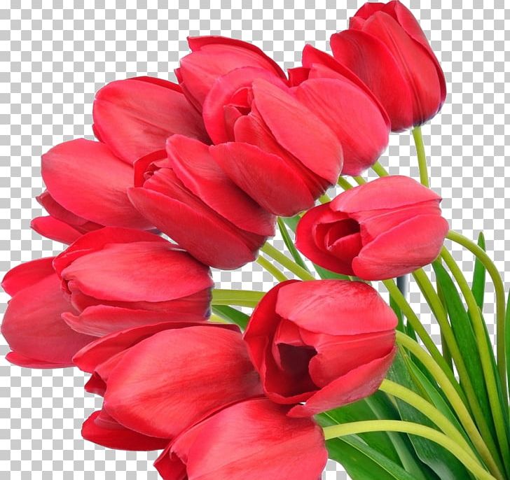 Tulip Flower Bouquet Red Desktop PNG, Clipart, Artificial Flower, Color, Cut Flowers, Desktop Wallpaper, Display Resolution Free PNG Download