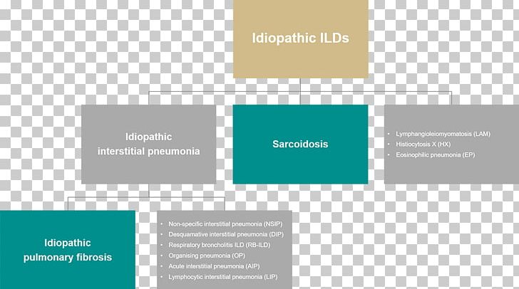 Idiopathic Pulmonary Fibrosis Idiopathic Interstitial Pneumonia Idiopathic Disease Interstitial Lung Disease Non-specific Interstitial Pneumonia PNG, Clipart, Angle, Brand, Diagram, Disease, Fibrosis Free PNG Download