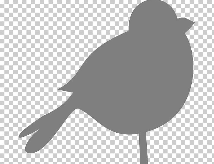Bird PNG, Clipart, Animals, Beak, Bird, Black And White, Branch Free PNG Download