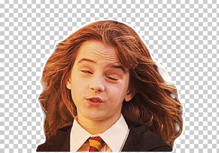 Harry Potter (Literary Series) Sticker Telegram Hermione Granger PNG, Clipart, Brown Hair, Chin, Comic, Forehead, Hair Free PNG Download