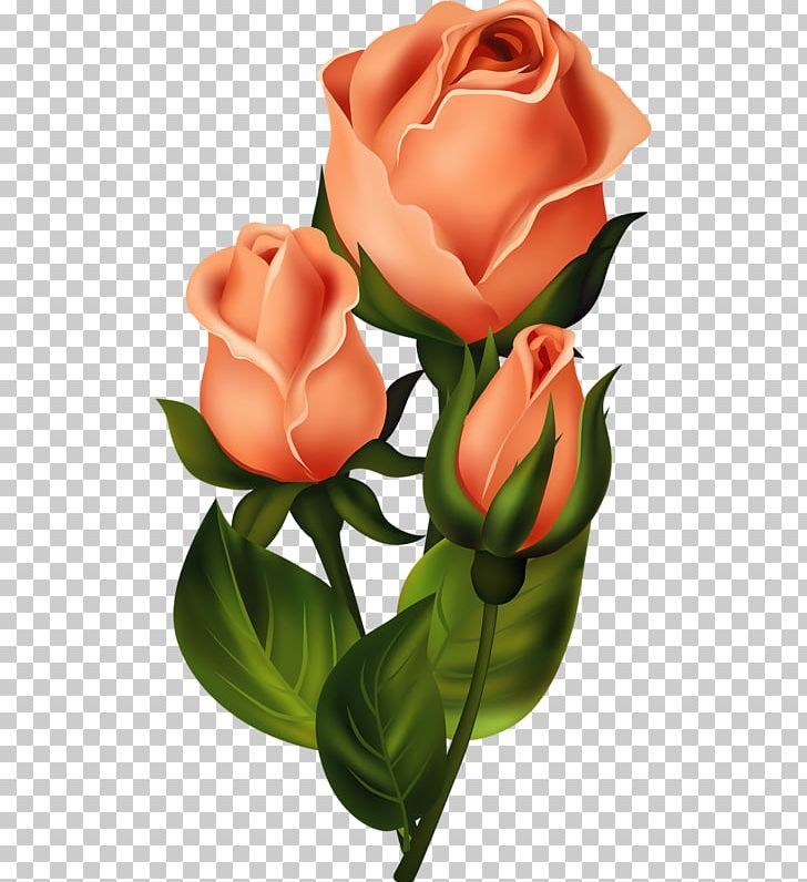 Floral Design Flower Garden Roses PNG, Clipart, Artificial Flower, Bud, Cut Flowers, Decoupage, Drawing Free PNG Download