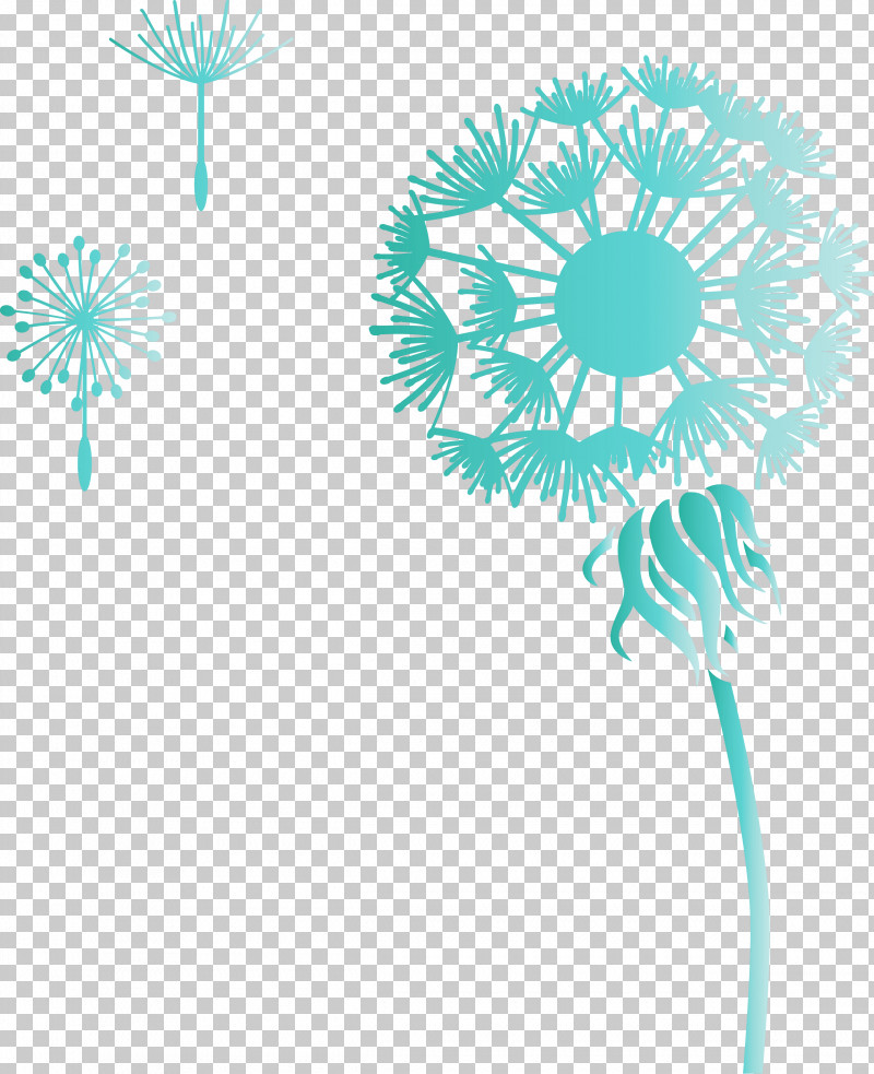 Dandelion PNG, Clipart, Chrysanthemum, Dandelion, Drawing, Flower, Painting Free PNG Download