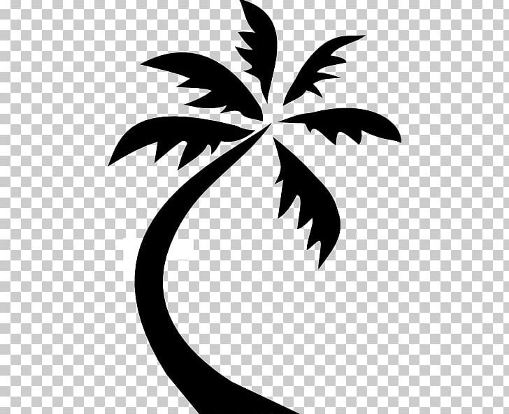 Arecaceae Coconut PNG, Clipart, Arecaceae, Black, Black And White, Branch, Clip Art Free PNG Download