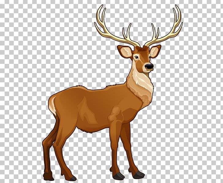 Free Content PNG, Clipart, Animals, Antler, Antlers, Blog, Cartoon Free PNG Download