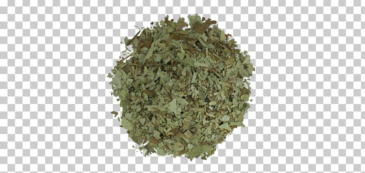 Green Tea Herbal Tea Tea Bag Marmalade PNG, Clipart, Abc, Black Tea, Caffeine, Chamomile, Commodity Free PNG Download
