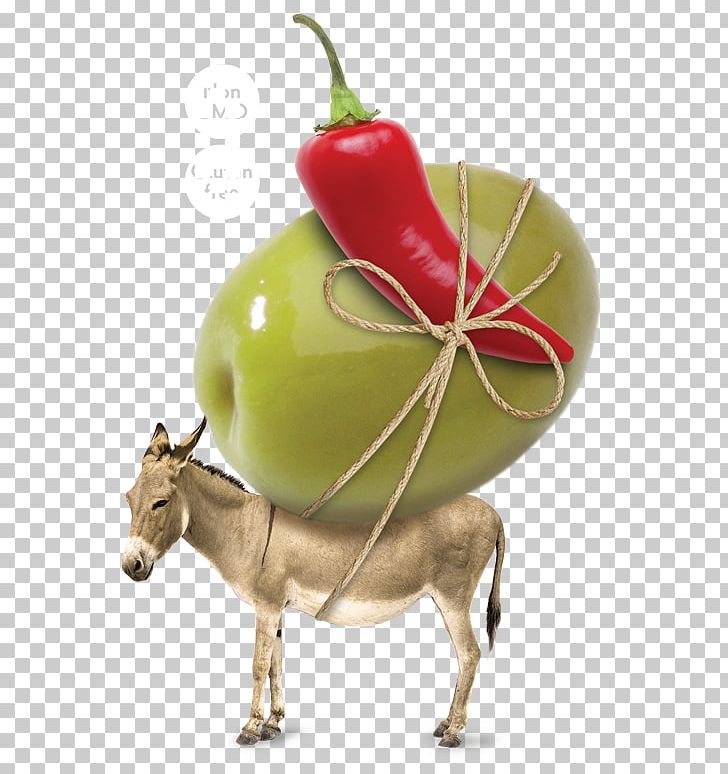 Irish Donkey Mare Foal Donkey Milk PNG, Clipart, Depositphotos, Desktop Wallpaper, Donkey, Donkey Milk, Foal Free PNG Download