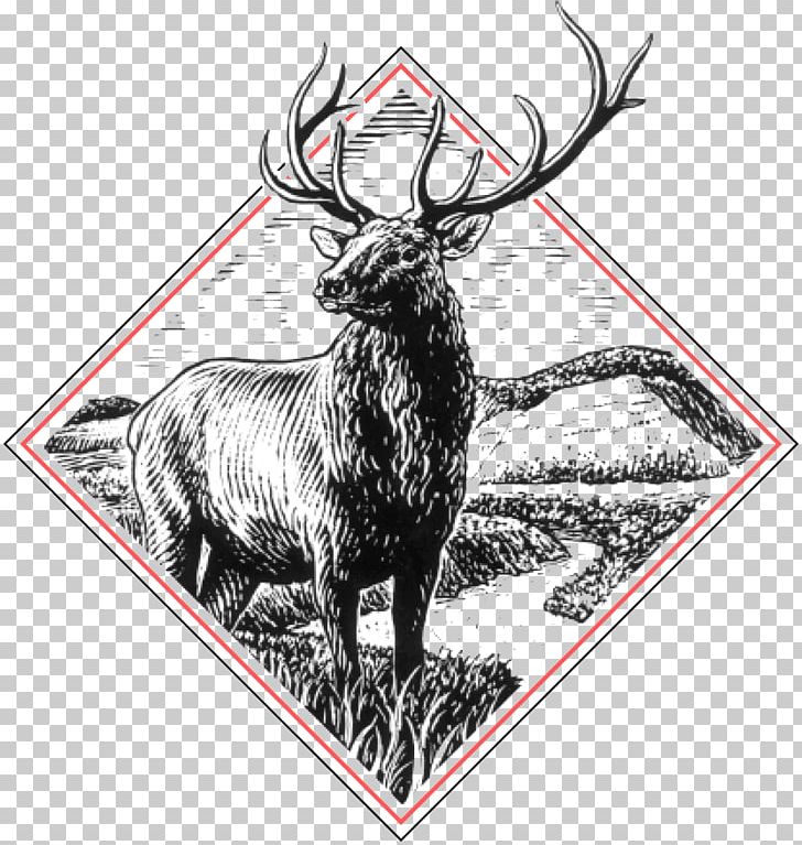 Rangely Dinosaur Rio Blanco Herald Times Newspaper Reindeer PNG, Clipart, Antler, Black And White, Bud Caldwell, Colorado, Colorado Press Association Free PNG Download