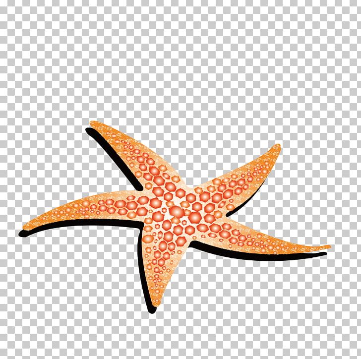 Starfish Animation PNG, Clipart, Animals, Cartoon, Colorful, Download, Drawing Free PNG Download
