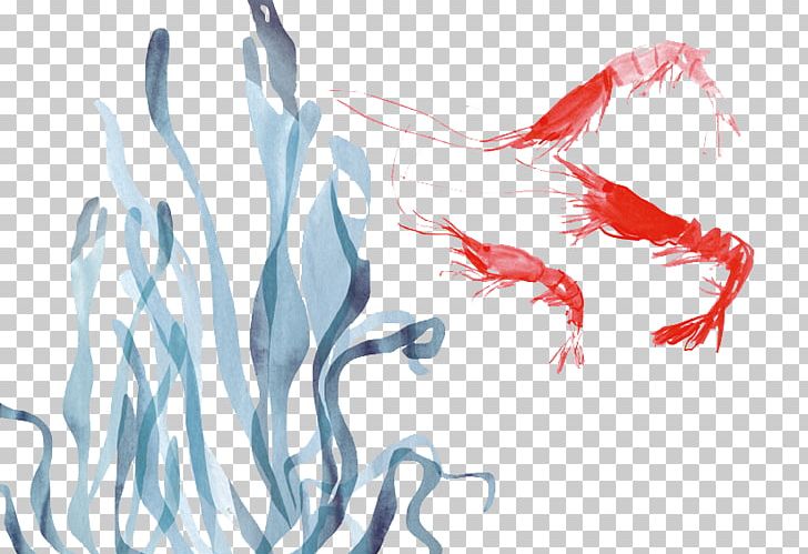 Aquatic Plant Aquatic Animal PNG, Clipart, Animals, Aquatic, Aquatic Animal, Aquatic Animals, Aquatic Plant Free PNG Download