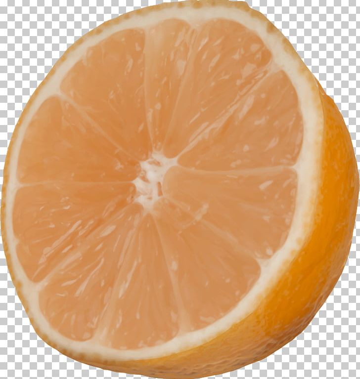 Grapefruit Mandarin Orange Tangelo Tangerine PNG, Clipart, Citric Acid, Citrus, Clementine, Computer Icons, Food Free PNG Download