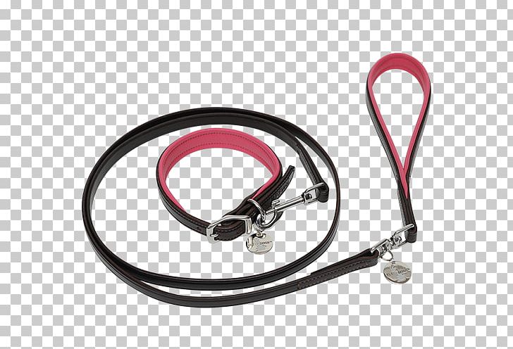 Leash Stethoscope Computer Hardware PNG, Clipart, Computer Hardware, Fashion Accessory, Hardware, Leash, Others Free PNG Download