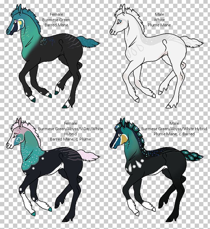 Mustang Stallion Colt Pony Foal PNG, Clipart, Fictional Character, Florida Kraze Krush Soccer Club, Foal, Halter, Horse Free PNG Download