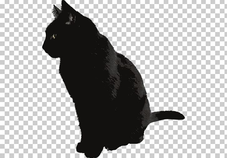 Russian Blue Kitten Black Cat PNG, Clipart, Animals, Black, Black And White, Black Cat, Bombay Free PNG Download