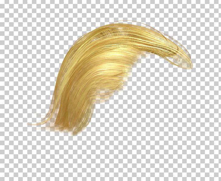 Hair Portable Network Graphics Transparency Wig PNG, Clipart, Alpha Compositing, Desktop Wallpaper, Donald Trump, Hair, Hair Coloring Free PNG Download