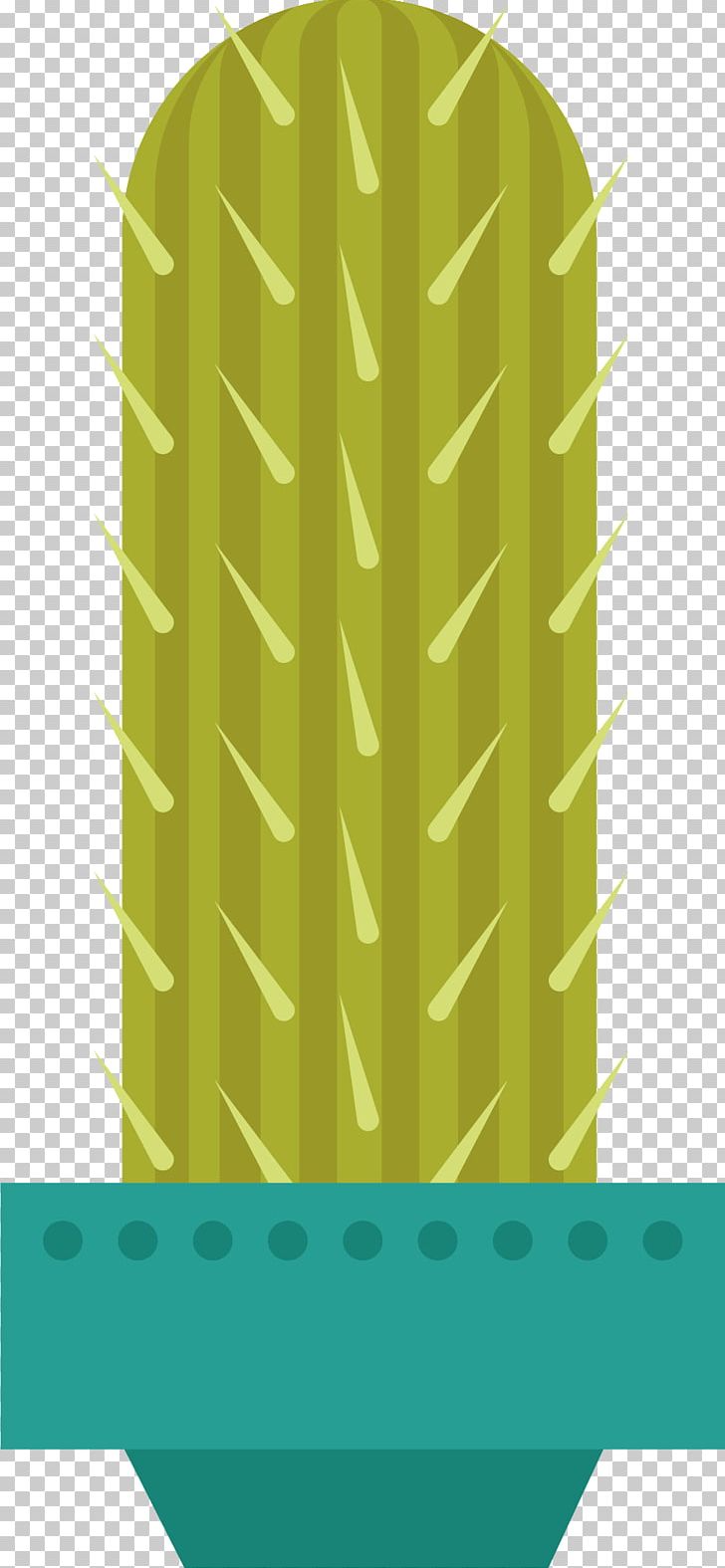 Cactaceae Euclidean PNG, Clipart, Angle, Barbed, Botany, Cactus Cartoon, Cactus Flower Free PNG Download