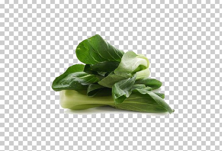 Choy Sum Spinach Romaine Lettuce Spring Greens Leaf Vegetable PNG, Clipart, Bok Choy, Cabbage, Cabbage Leaves, Cartoon Cabbage, Chinese Cabbage Free PNG Download