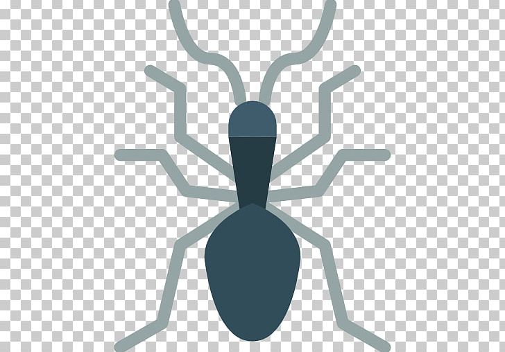 Insect PNG, Clipart, Animals, Bug, Flat, Insect, Invertebrate Free PNG Download