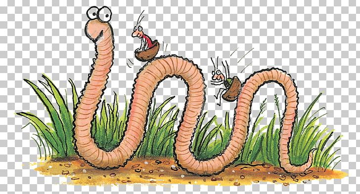 Superworm Insect Foundation Stage PNG, Clipart, Animals, Book, Child, Early Years Foundation Stage, Fauna Free PNG Download