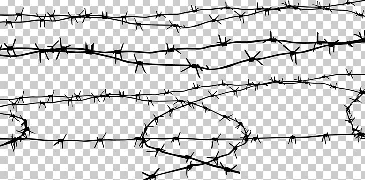 Barbed Wire Computer File PNG, Clipart, Angle, Barbed, Barbed Wire Material Png, Black And White, Branch Free PNG Download