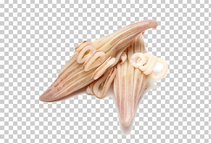 Oegopsina Seafood Dried Shredded Squid PNG, Clipart, Aquatic, Aquatic Animal, Aquatic Animals, Aquatic Claw Squid, Aquatic Plants Free PNG Download