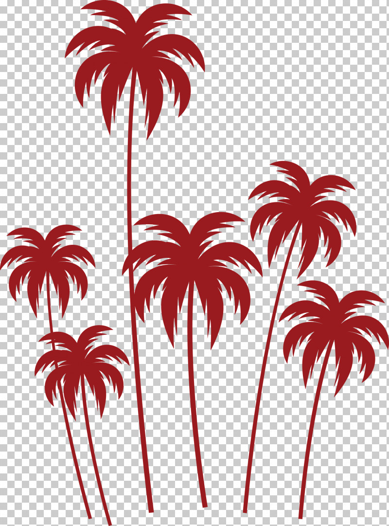 Palm Trees PNG, Clipart, Arecales, Biology, Flower, Leaf, Line Free PNG Download