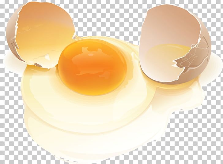Chicken Egg White Eggshell PNG, Clipart, Animals, Chicken, Chicken Egg, Egg, Eggshell Free PNG Download