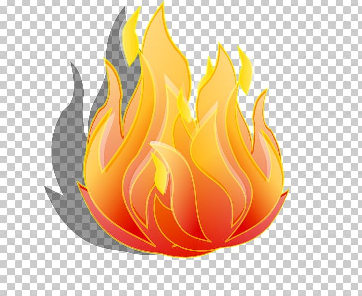 Fire Extinguisher Flame PNG, Clipart, Application Firewall, Computer Network, Computer Wallpaper, Flower, Funny Free PNG Download