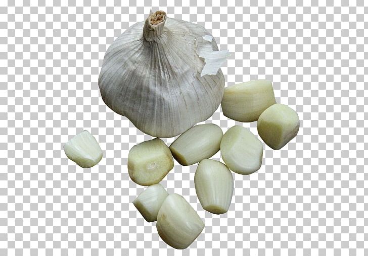 Garlic Bread Vegetable Food PNG, Clipart, 500 X, Apk, Cloves, Download, Elephant Garlic Free PNG Download