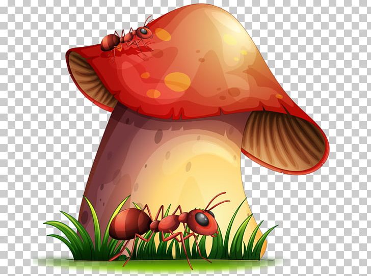 Mushroom Fungus PNG, Clipart, Closeup, Drawing, Fruit, Fungus, House Free PNG Download