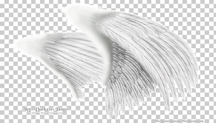 Black And White Angel Wing Monochrome Drawing PNG, Clipart, Angel, Angel Wing, Angel Wings, Art, Black And White Free PNG Download