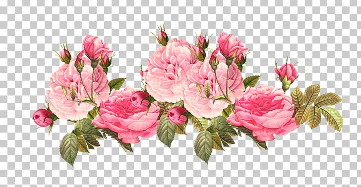 Pink Flowers Rose PNG, Clipart, Azalea, Blossom, Branch, Color, Common Sunflower Free PNG Download
