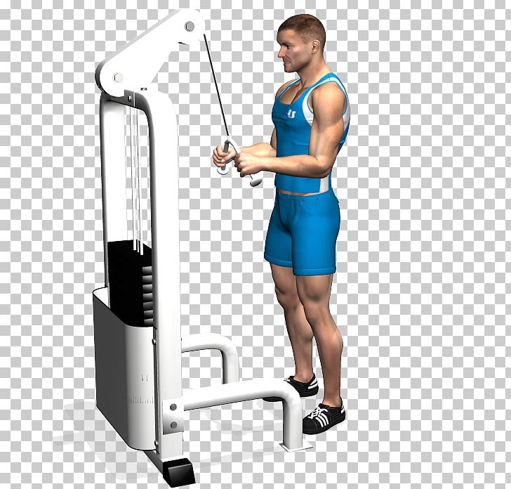Shoulder Triceps Brachii Muscle Pushdown Lying Triceps Extensions Exercise PNG, Clipart, Abdomen, Arm, Balance, Biceps, Calf Free PNG Download