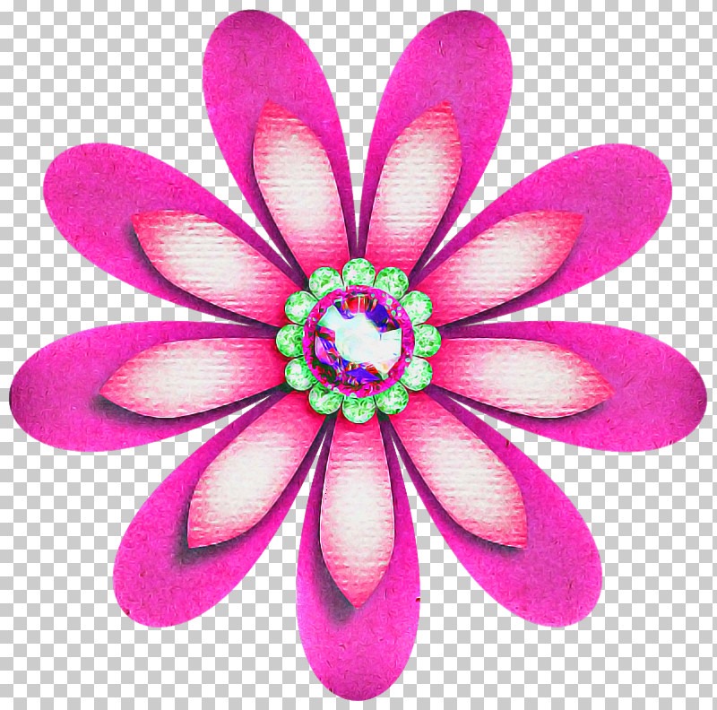 Petal Pink Violet Magenta Flower PNG, Clipart, Flower, Magenta, Petal, Pink, Plant Free PNG Download